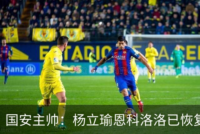 国安主帅：杨立瑜恩科洛洛已恢复 球队有很多要提升的地方